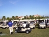 Golf carts